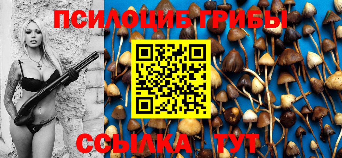 Псилоцибиновые грибы ЛСД  Вход с VPN  Соликамск  Галлюциногенные грибы Psilocybe 